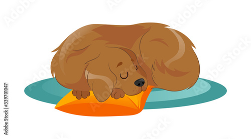 Concept Of Animal Care, Shelter. Pretty Dog Is Sleeping On The Carpet, Putting His Head On The Pillow. Animal Adoption And Support. Puppy Sleep In A Pet Bed. Cartoon Flat Style. Vector Illustration