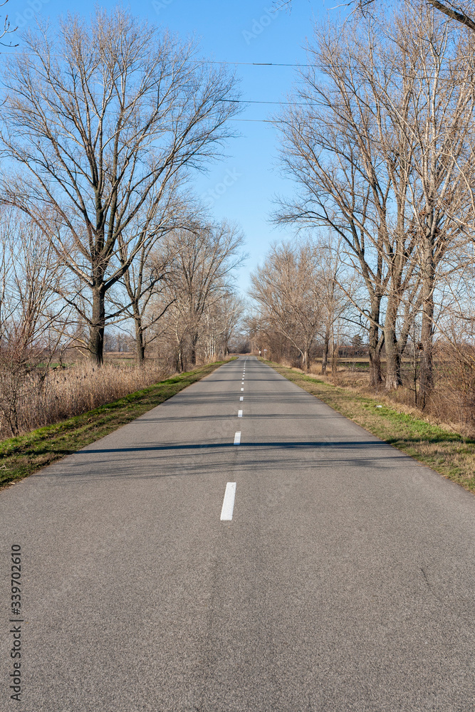 Road on the Great Hungarian Plain in Hungary Road on the Great Hungarian Plain in Hungary