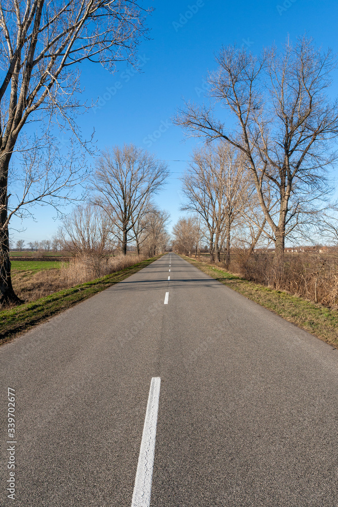 Road on the Great Hungarian Plain in Hungary