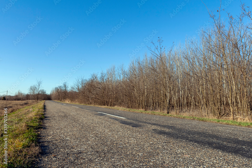 Road on the Great Hungarian Plain in Hungary