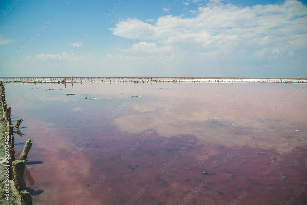 Salt pink lake in Ukraine. Blue sky with clouds and deep pink, red and  purple shades in the water. Tourist attractions in Khersons'ka oblast.  Unbelievable landmark. Sivash lake. Wallpaper picture. Stock Photo