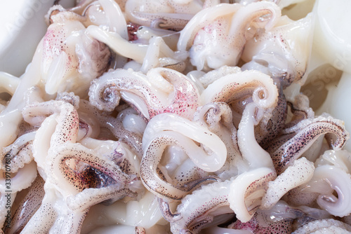 Ciuffetti di calamari crudi in primo piano  photo
