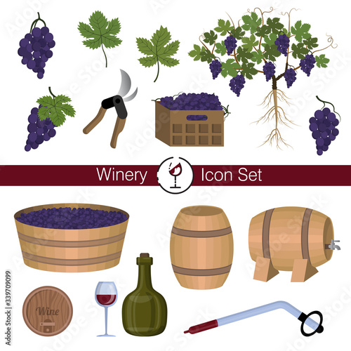 Winery, winemaking: equipment, tools, wine, vine, leaves, berries, root