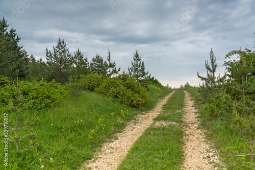 Rhodope Mountains near village of Dobrostan, Bulgaria