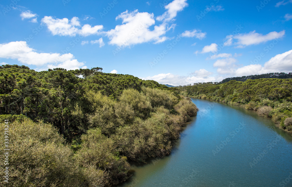 Paisagem com rio e floresta Paisagem com rio e floresta
