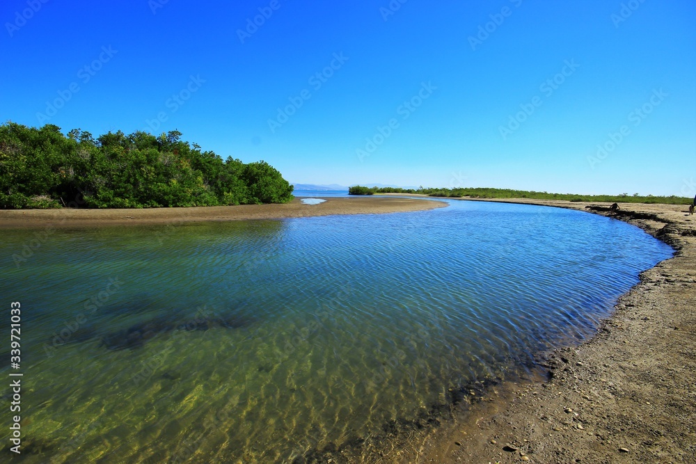 Obraz premium Canal de agua salada con mangles al fondo