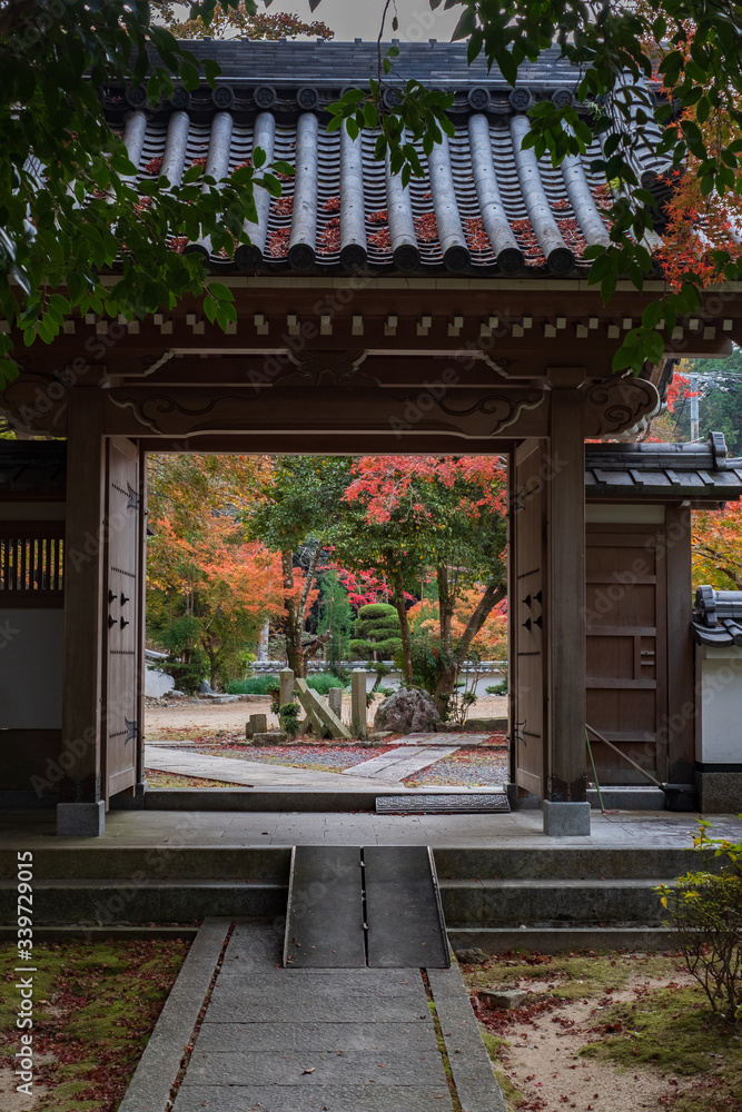 Autumn Leaves in a Temple in Kyoto, Japan