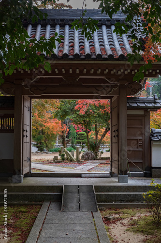Autumn Leaves in a Temple in Kyoto, Japan