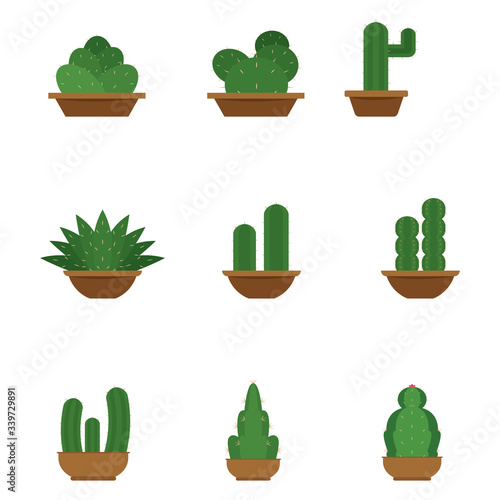 Set of cactus icons