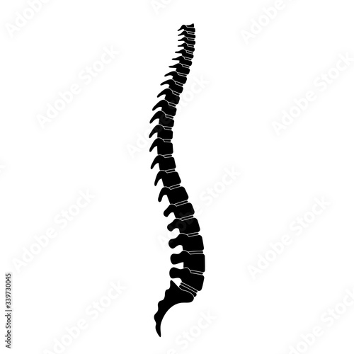 Human spine anatomy vector illustration