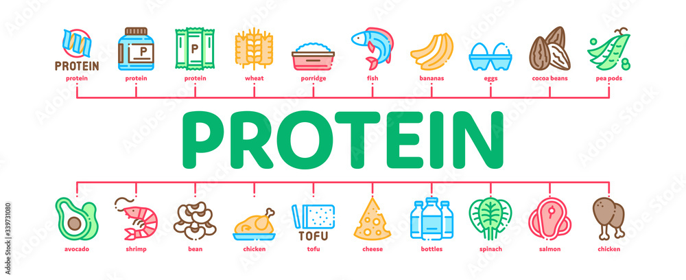 Obraz premium Protein Food Nutrition Minimal Infographic Web Banner Vector. Bottle And Package With Protein, Fish And Chicken Meat, Milk And Cheese Illustrations