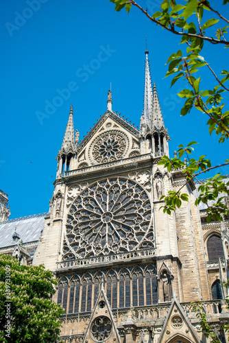 Window Rosette of the Southern Transept from outside, Paris/France