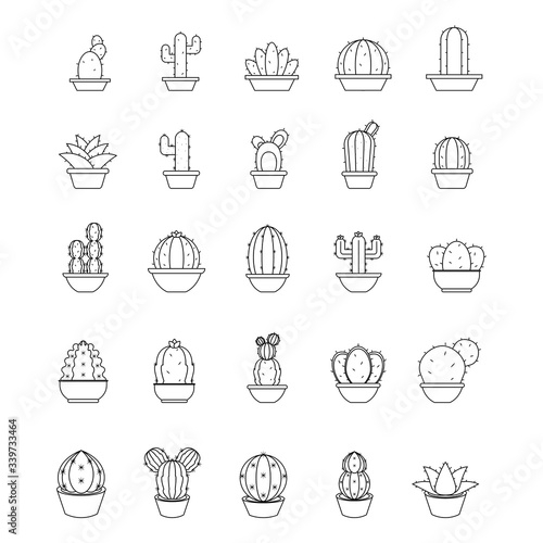 Set of cactus icons