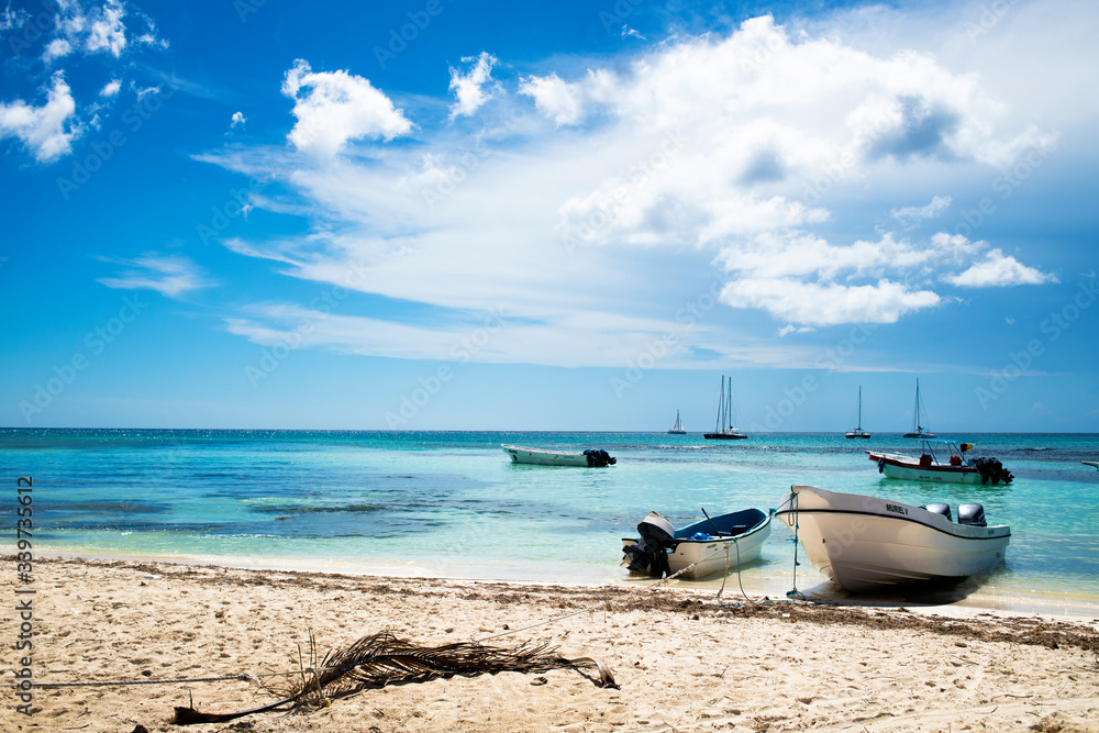 Obraz premium boat on the beach