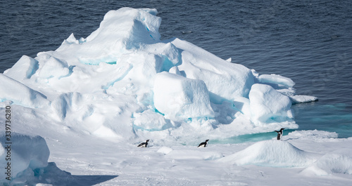 Adelie penguins on Tabular Icebergs in the Weddell Sea