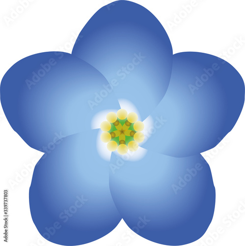 Картината върху платно forget-me-not / forget me not flower, blossom, petals, freemason symbol