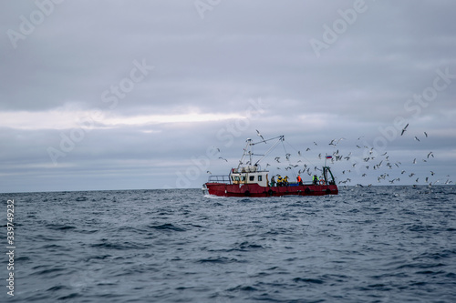 Fishermen surrounded by seagulls fish on a fishing trawler