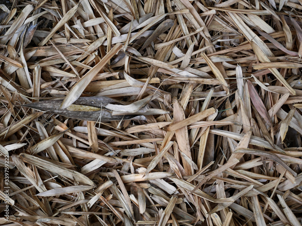 brown bamboo leaf background, close up of a pile of dry grass brown bamboo leaf background, close up of a pile of dry grass