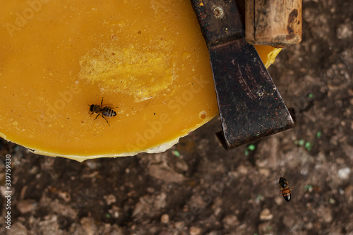 A large piece of yellow wax and beekeeper tools. Bees are flying. Home apiary. Flat lay