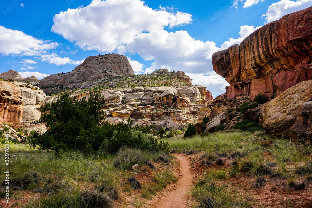 Fototapeta premium bryce canyon national park utah