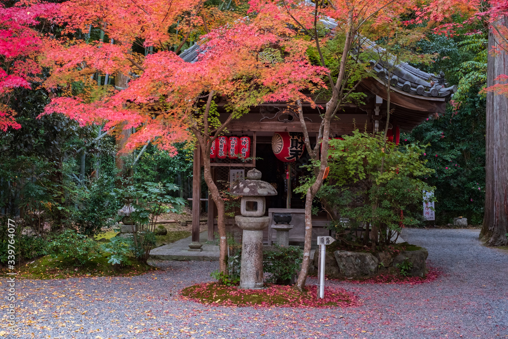 Sekizan Zen-in Temple in Kyoto, Japan Sekizan Zen-in Temple in Kyoto, Japan