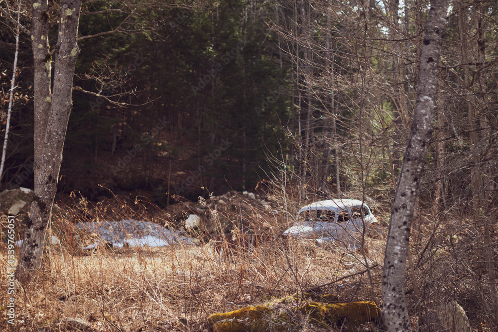 vintage abandoned car in woods