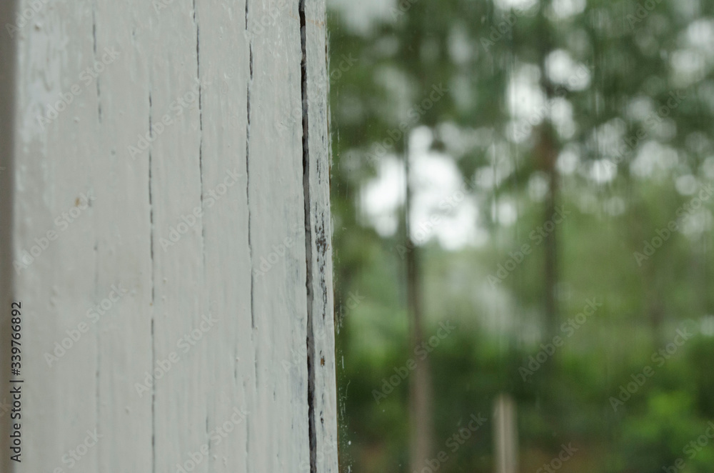 texture. texture.