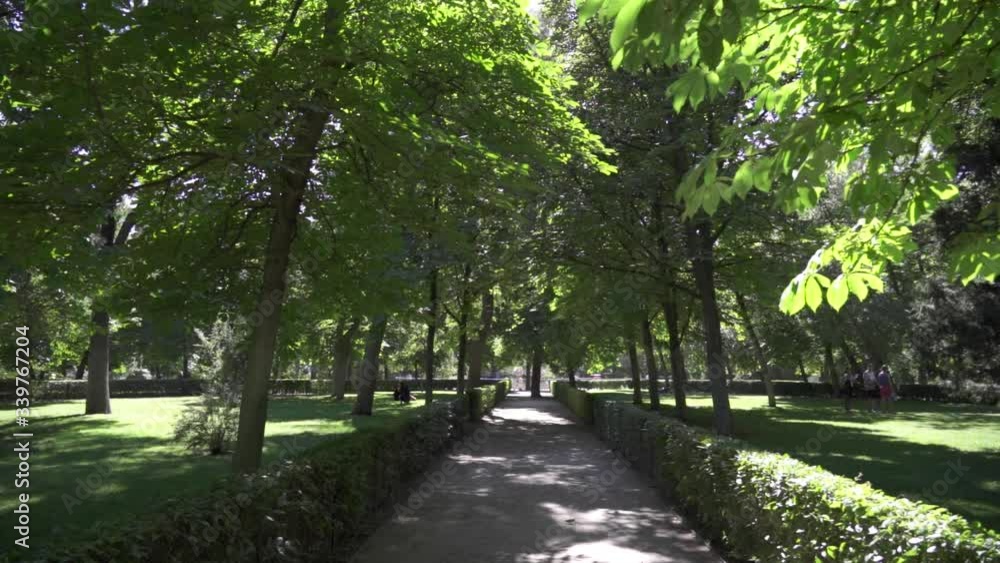 Walking in park during the Summer in slow motion Walking in park during the Summer in slow motion