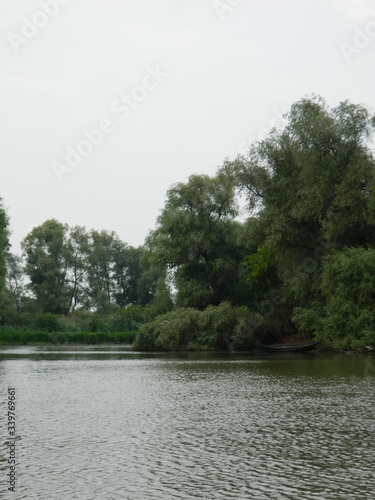 Danube delta