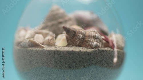 Shells and starfish on sand from the Greek sea in a glass vase spin in a circle on a turquoise blue background photo