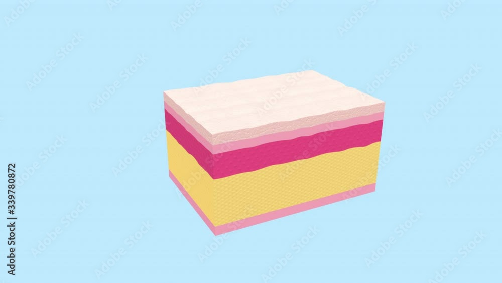 Repair Skin and Prevent Enlarged Pores Forever with Collagen Serum and Vitamins. 3d animation Repair Skin and Prevent Enlarged Pores Forever with Collagen Serum and Vitamins. 3d animation