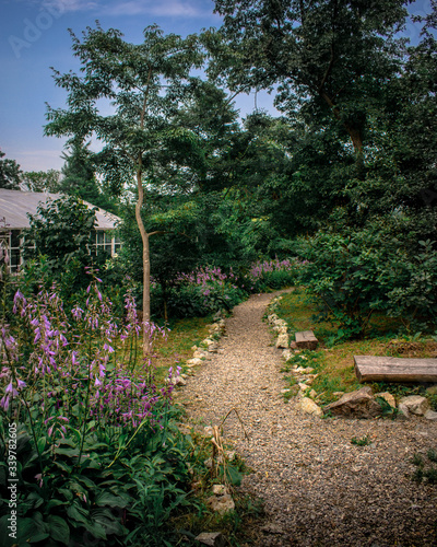 Botanical Garden. Park path with benches and flowers  