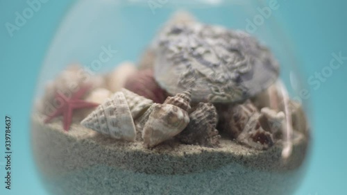 Shells on sand from the Greek sea in a glass vase spin in a circle on a turquoise blue background photo