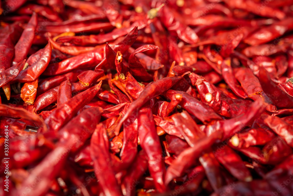 Fototapeta premium Dried red hot chilli peppers background