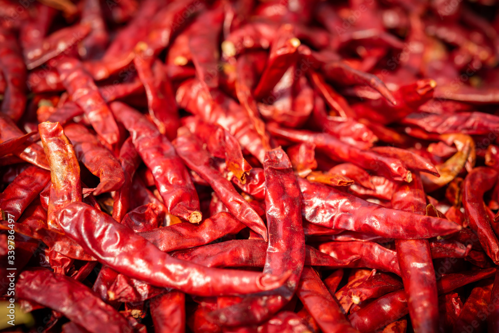 Dried red hot chilli peppers background