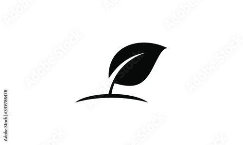 vector illustration of a leaf photo