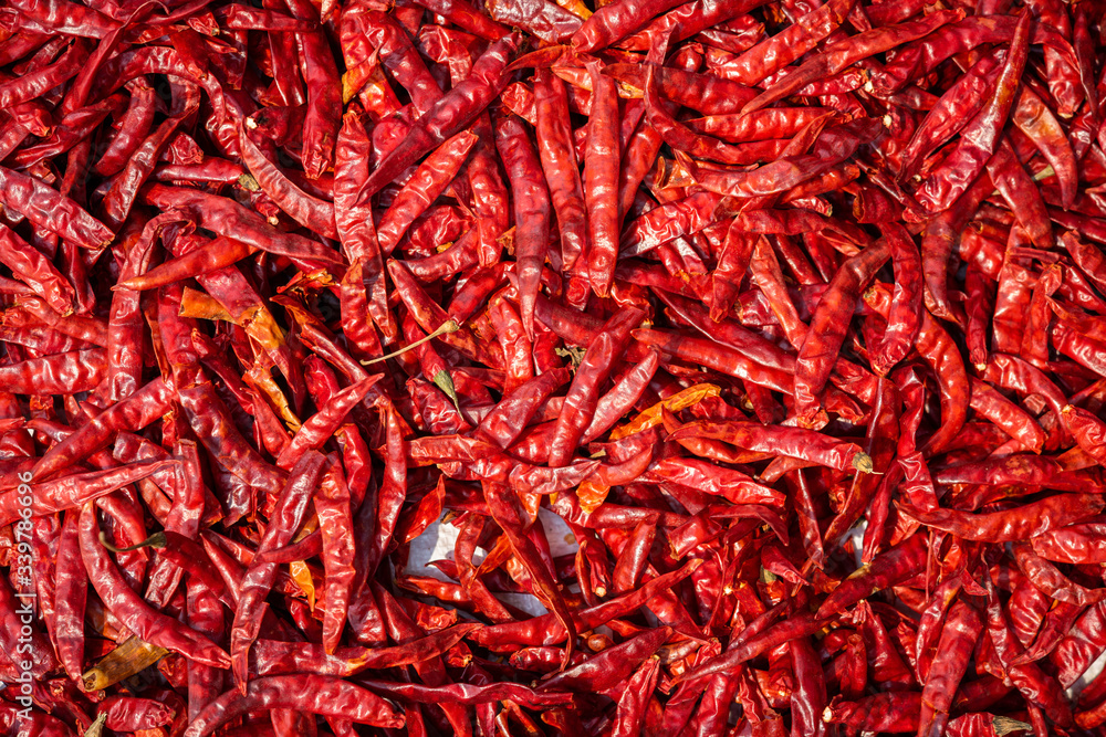 Naklejka premium Dried red hot chilli peppers background