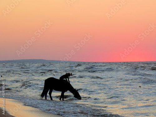 silhouette of a horse drinking from the sea and a rider on top of a beautiful sunset Azov sea