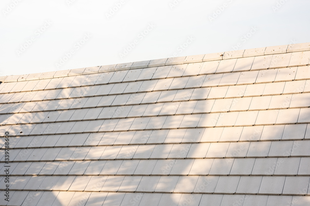 Construction of the roof of the house. Construction of the roof of the house.