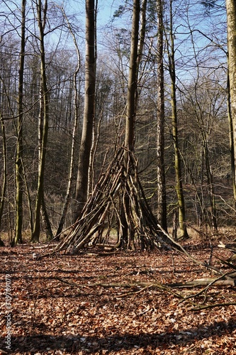 Obraz na płótnie Collected branches formed in the forest w salonie
