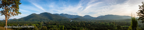 Panorama : landscape of longan garden in Lamphun, Thailand