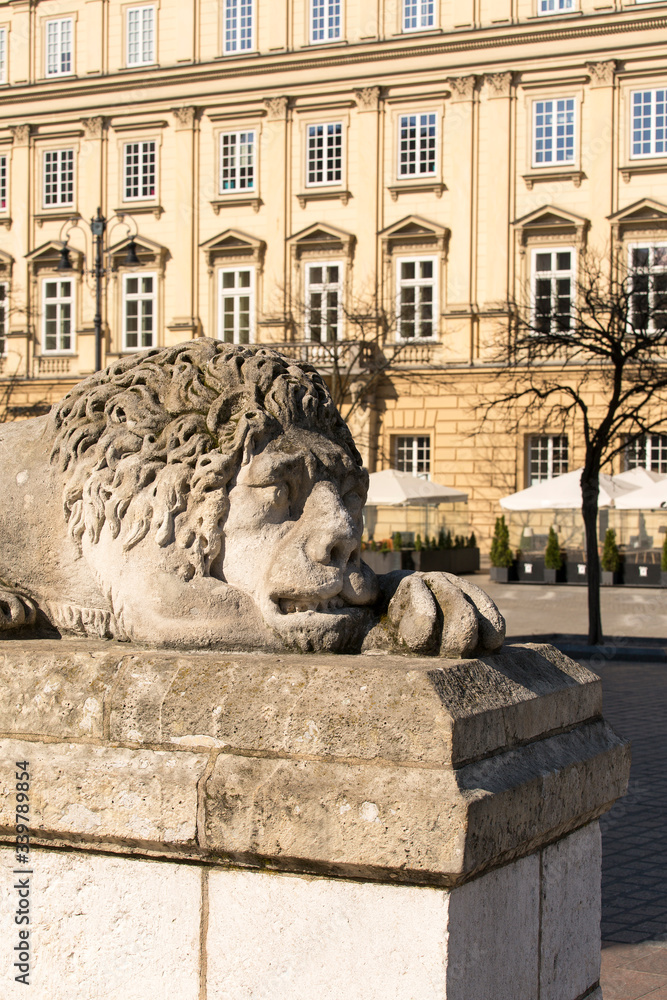 Main Market Square, stone sculpture of a lion in front of the entrance of Town Hall Tower, Krakow, Poland