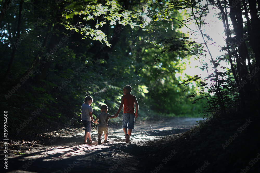 three boys: two older brothers hold the hands of a younger brother and leave the forest from darkness to the light
