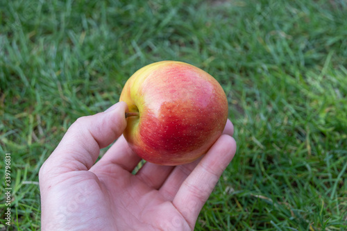Apfel in der Hand- Gesund Essen direkt nach ernte