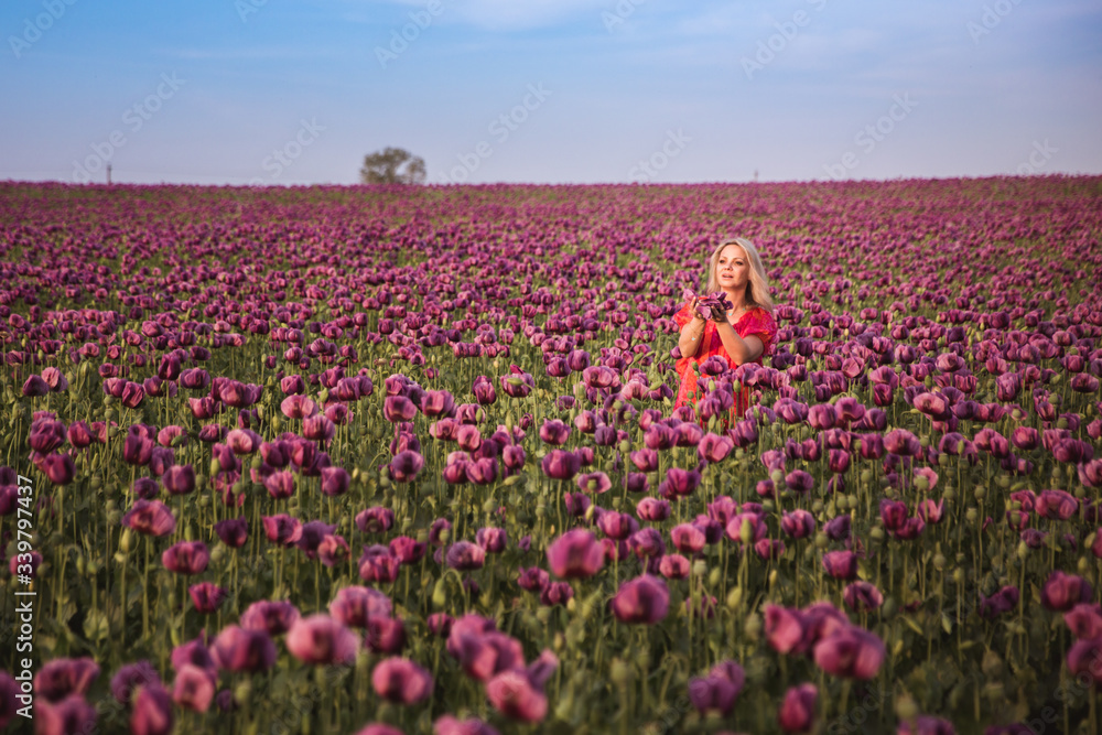 Beautifull happy woman with long hair in red dress lonely walking in the Lilac Poppy Flowers field