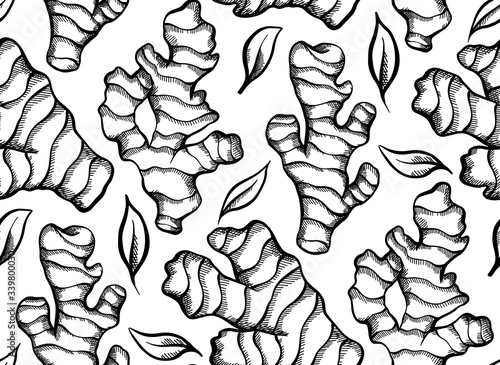 Seamless texture with a sketch of ginger roots with hatching on a white background. Healthy food. Engraving vector background for fabrics, wallpapers and your creativity.