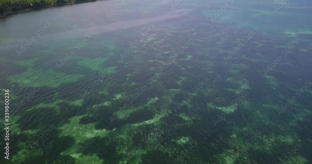Aerial low tilt up shot of coral reefs and seagrass meadows under the water on an island in the Maldives