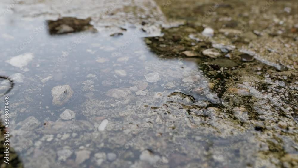 Light spring rain drop reflection Light spring rain drop reflection
