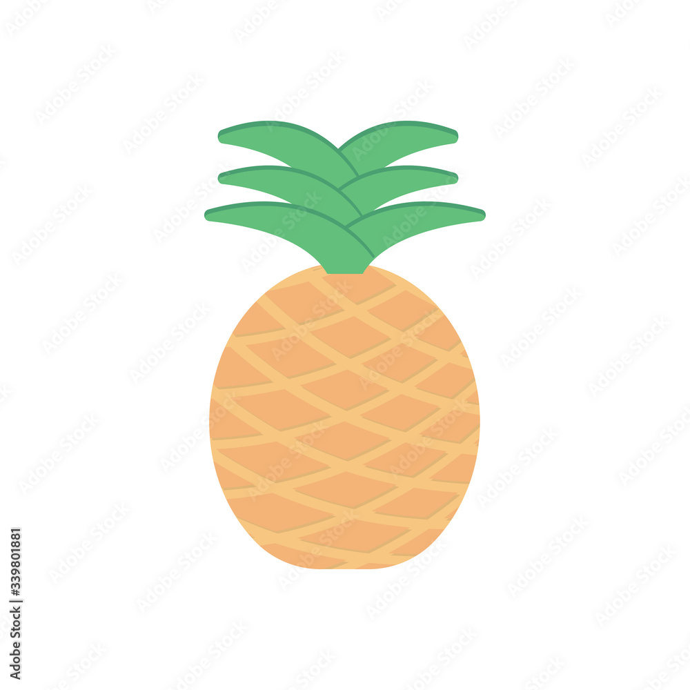 fruit fruit
