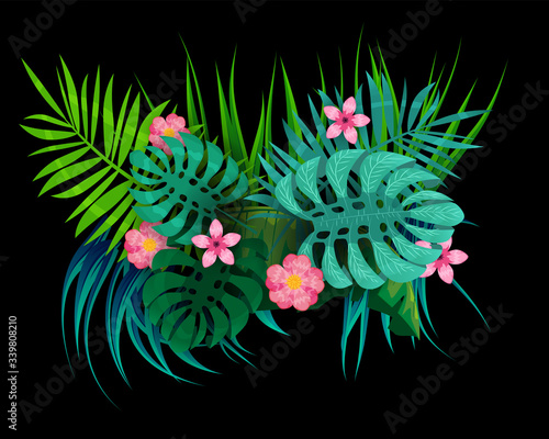 Summer tropical leaves exotical plants palm jungle leaf